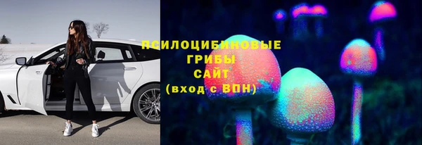 герыч Зеленокумск