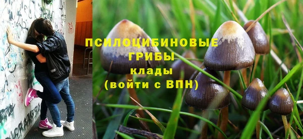 mix Заводоуковск